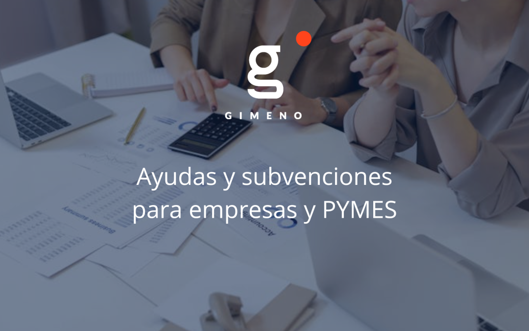 Ayudas y subvenciones para empresas y PYMES